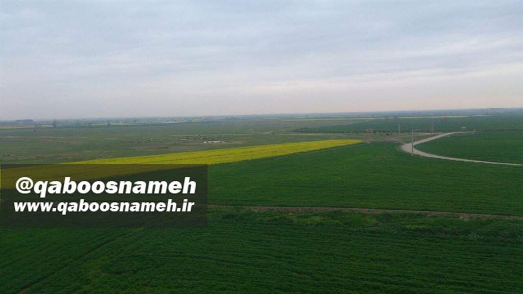 watermarked طبیعت زیبای مرتع و چرای گوسفندان از بالای دیواره گبری قلعه ایگدرسفلی