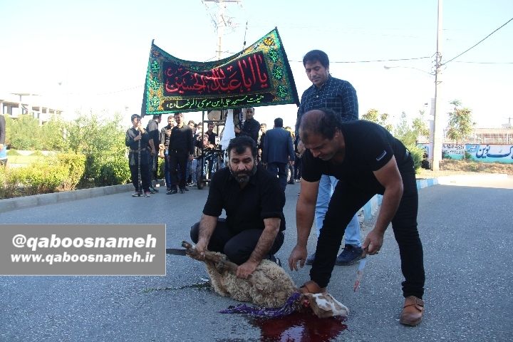 qaboosnameh 5